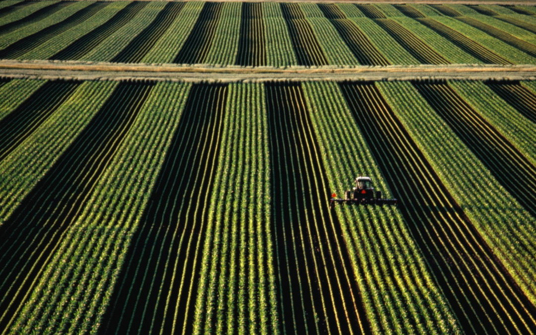 A Revolução da Agricultura de Precisão