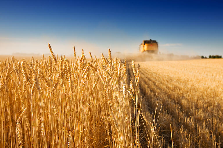 Soluções tecnológicas ajudam a reduzir desperdícios no agronegócio