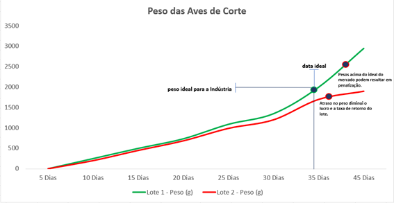 Como funciona a pesagem de aves