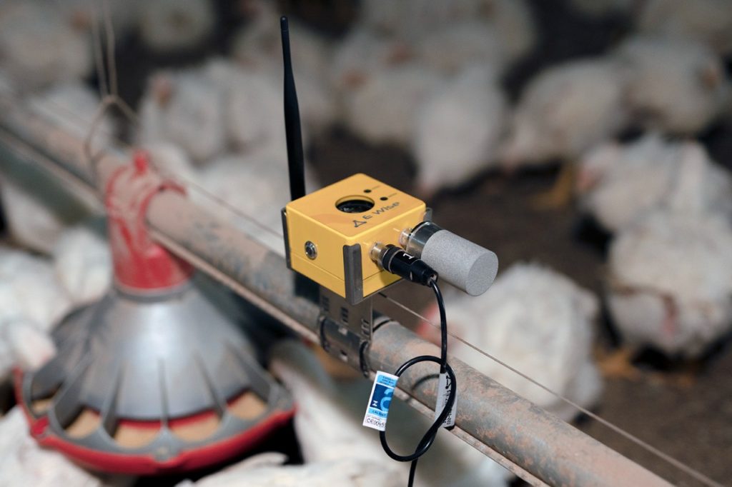 Poultry Sensor IoT