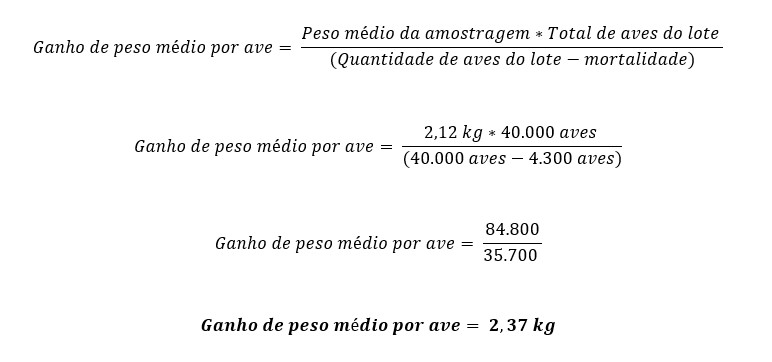 conversão alimentar de frangos