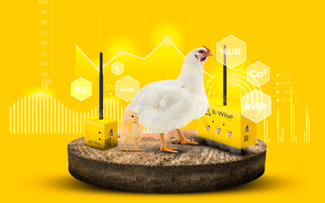 Poultry Farming Future with IoT