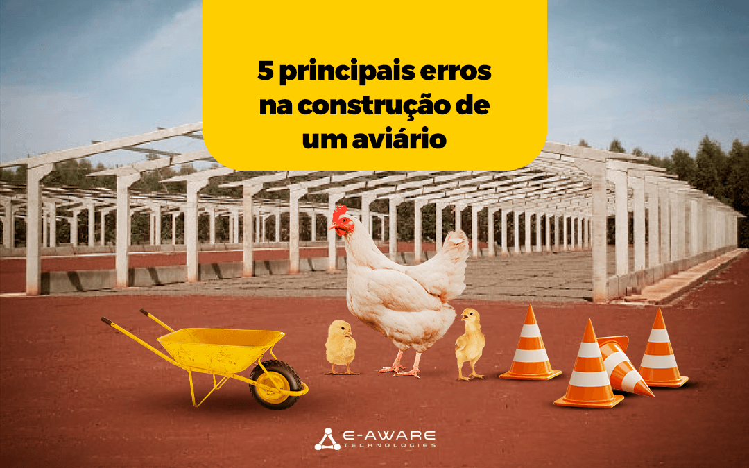 5 PRINCIPAIS ERROS NA CONSTRUÇÃO DE UM AVIÁRIO